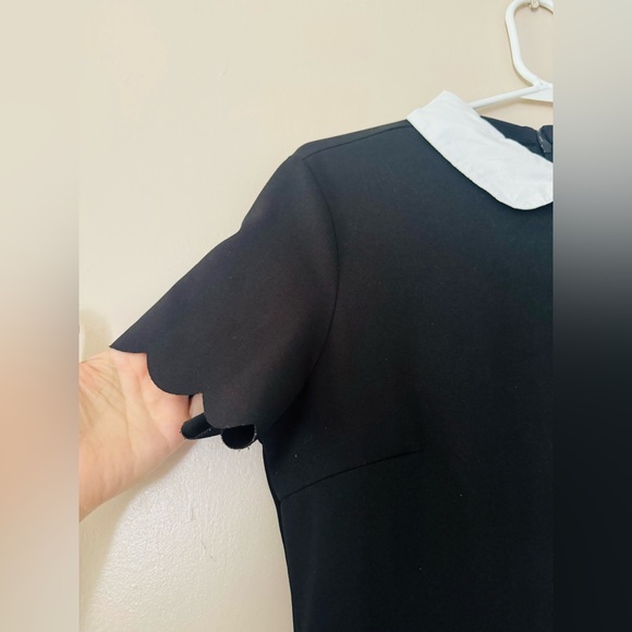 Floerns Doll Collar Short Dress L pleated elastic fabric & waist casual party - Picture 10 of 14